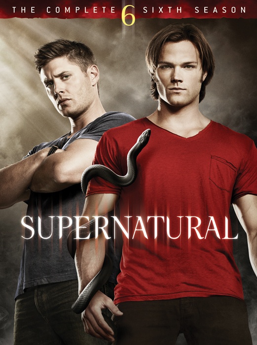 Supernatural The Complete Sixth Season Supernatural Wiki Fandom