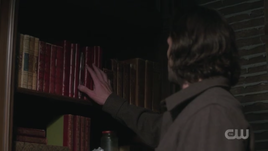 Rowena's Journals