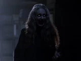 The Wicked Witch