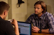 SPN 11x13 fichier 6