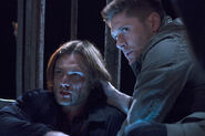 SPN 11x10 fichier 10