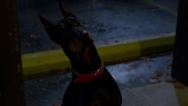 В форме фамильяра