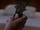 Key to Oz