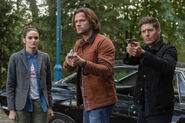 SPN 13x08 fichier 5