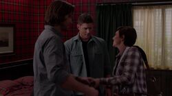 Normal SPN908HD 2128