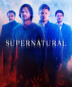 When is season 14 of supernatural coming store to netflix