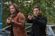 SPN 13x08 fichier 4