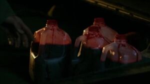 What do you guys think the Demon's blood is made out of? Wrong