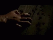 Polymorphing.gif (1.26 MB) Polymorphing