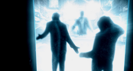 The Witnesses