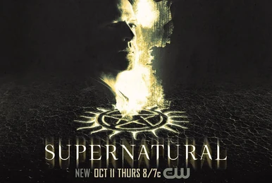 Supernatural: The Complete Fourteenth Season | Supernatural Wiki