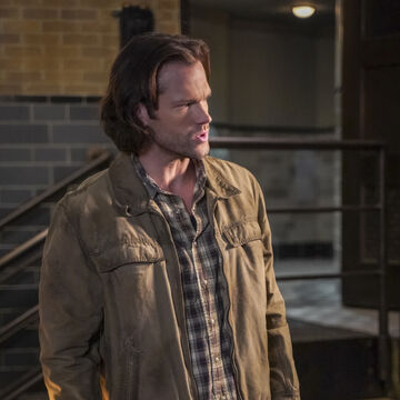 Sam Winchester Supernatural Wiki Fandom