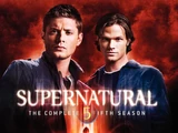 Season 5