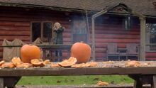 SPN14x11 Damaged Goods-Mary shooting at pumpkins