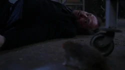 Crowley glances over to see a rat