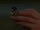 Borrower Witch's ring