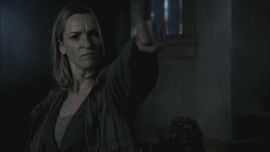 EverCarradine8.jpg