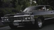 SPN 0043 (Impala).jpg