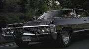 SPN 0043 (Impala)