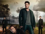 Season 8