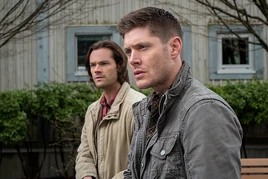Don't Call Me Shurley 06