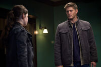 Supernatural (8.ª temporada) - Wikiwand