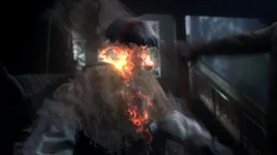 Meadows' ghost burns up in flames