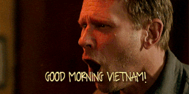 GoodMorningVietnam.gif