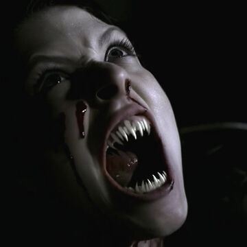 Vampires Supernatural Wiki Fandom