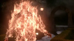 Rowena killed Martin