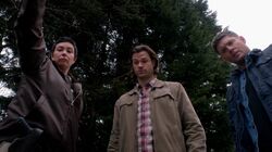 Normal SPN919HD 0085