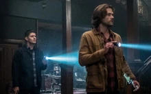 Tanatología avanzada