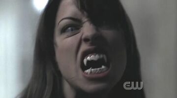 【ちょむすけ】Supernatural season 2 Supernatural
