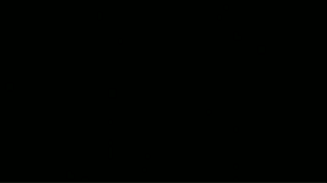 Season 4.gif
