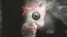 The colt.jpg