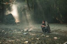 Season 8 (13).jpg
