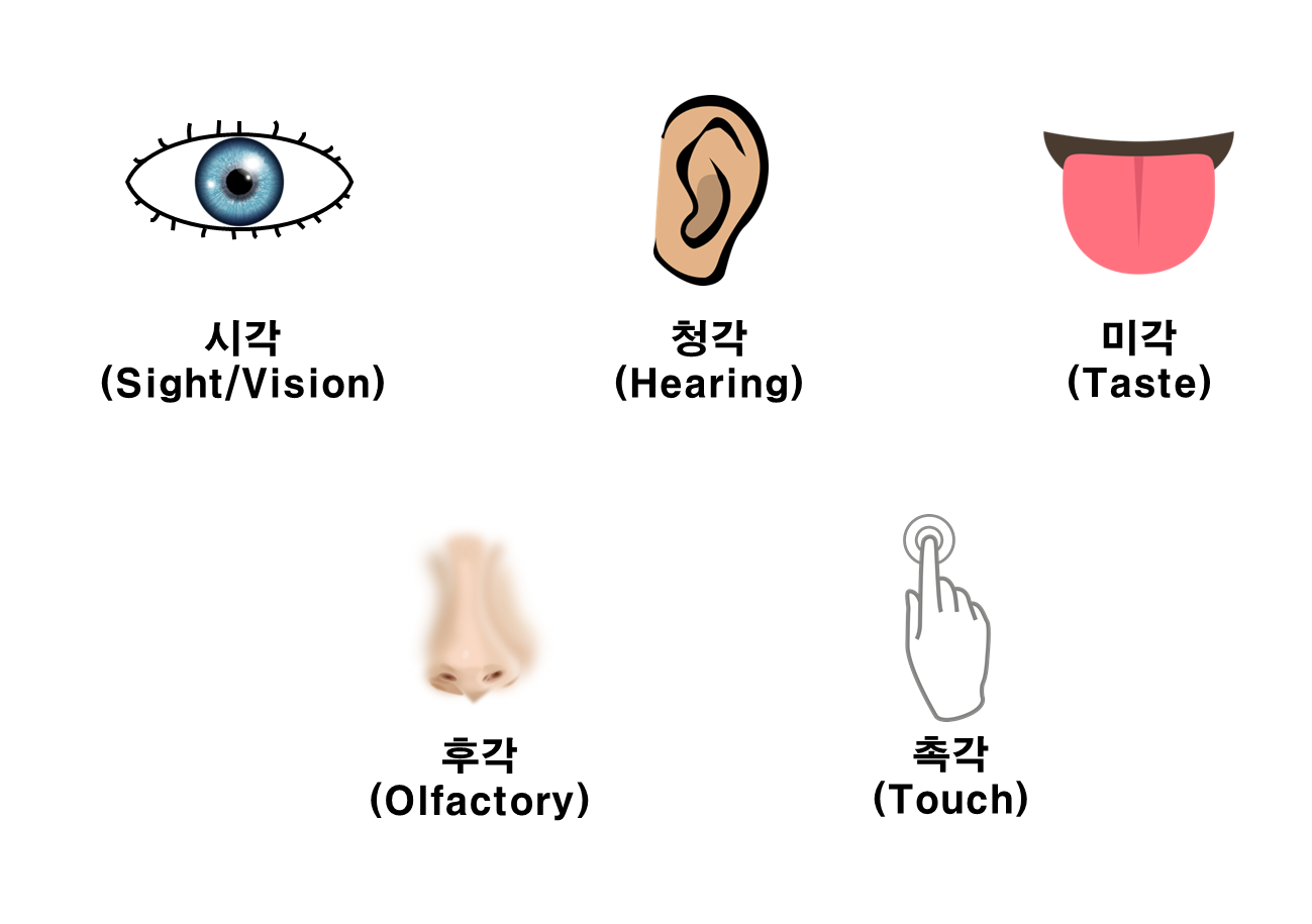 ACC 기억감각-경험의 공동체 2편/창제 워크숍의 과정과 결과 보기