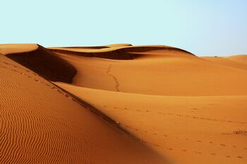 사막의 모습