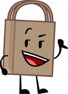 Shopping Bag