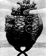 A Ideia do Mal (Berserk), também conhecido como "deus ideal" e "ego do mundo", nasceu da necessidade do inconsciente coletivo da humanidade por algo para culpar por seu sofrimento e dificuldades. Ele reside na área mais profunda do abismo, sendo poderoso o suficiente para remover as individualidades daqueles que acabam parando lá. Ele foi capaz de transcender a teia da causalidade para o mundo através da Mão de Deus.