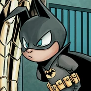 Bat-Mirim (DC Comics) era um duende, cuja aparência se assemelhava à de um pequeno homem infantil de uma roupa de malha Batman, com um raio preto em vez das insígnias do bastão. Ele mostrou a capacidade de animar objetos inanimados, encolher ou ampliar pessoas e objetos, levitá-lo, dotar pessoas ou animais com superpotências e conceder superpotências à vontade, tornando realidade o seu para a flexão.