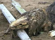 SCP-682 (Fundação SCP) é uma entidade vagamente semelhante a uma criatura reptiliana, como um crocodilo ou um dinossauro, nativo de alguma outra dimensão. Possui a capacidade de sobreviver e se adaptar a praticamente tudo, tornando-o efetivamente impossível de matar. Ele/Ela vê a realidade de forma bem diferente dos humanos e nos vê (e as formas de vida em geral) como algo tão "nojento" que seu desejo é destruir toda a vida na Terra. A Fundação nem sabe ao certo se essa coisa pode ser considerada "viva", baseando-se no que conhecemos como "Vida".