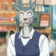 Legoshi (Beastars) é um lobo cinzento macho e o principal protagonista de Beastars. Embora ele seja temido e mal julgado pelos outros por ser um carnívoro e alto, ele é na verdade bastante educado, dócil e desajeitado.