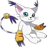 Tailmon (Digimon) é um digimon que possui a aparência de um gato.