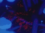 Ireul (Neon Genesis Evangelion) é o décimo primeiro anjo. Ele é uma entidade em nanoescala, semelhante a um vírus. Ele possui a incrível capacidade de se adaptar a quase tudo.