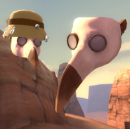The Medibirds (TF2 Freak) are immune to all kinds of contaminants, like radiation and toxins thanks to being living masks.