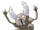 Pinsir