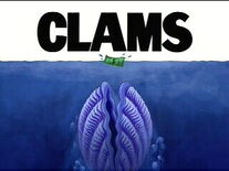 Clams