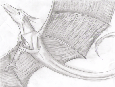 Dragon Drawing3