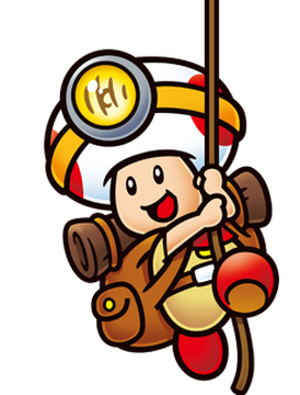 Captain 2024 toad ds